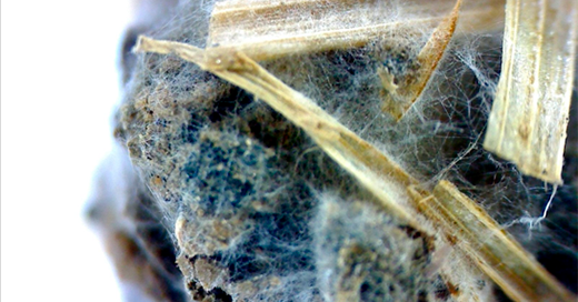LIFE MYSOIL EURECAT