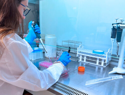 Eurecat coordina un estudi europeu per reduir l’exposició infantil als disruptors endocrins que alteren el sistema hormonal