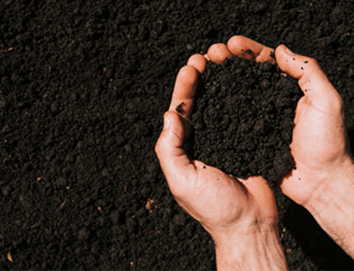 LIFE InBioSoil