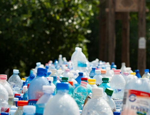 ¿Qué es RECYclass y cómo certificarse?